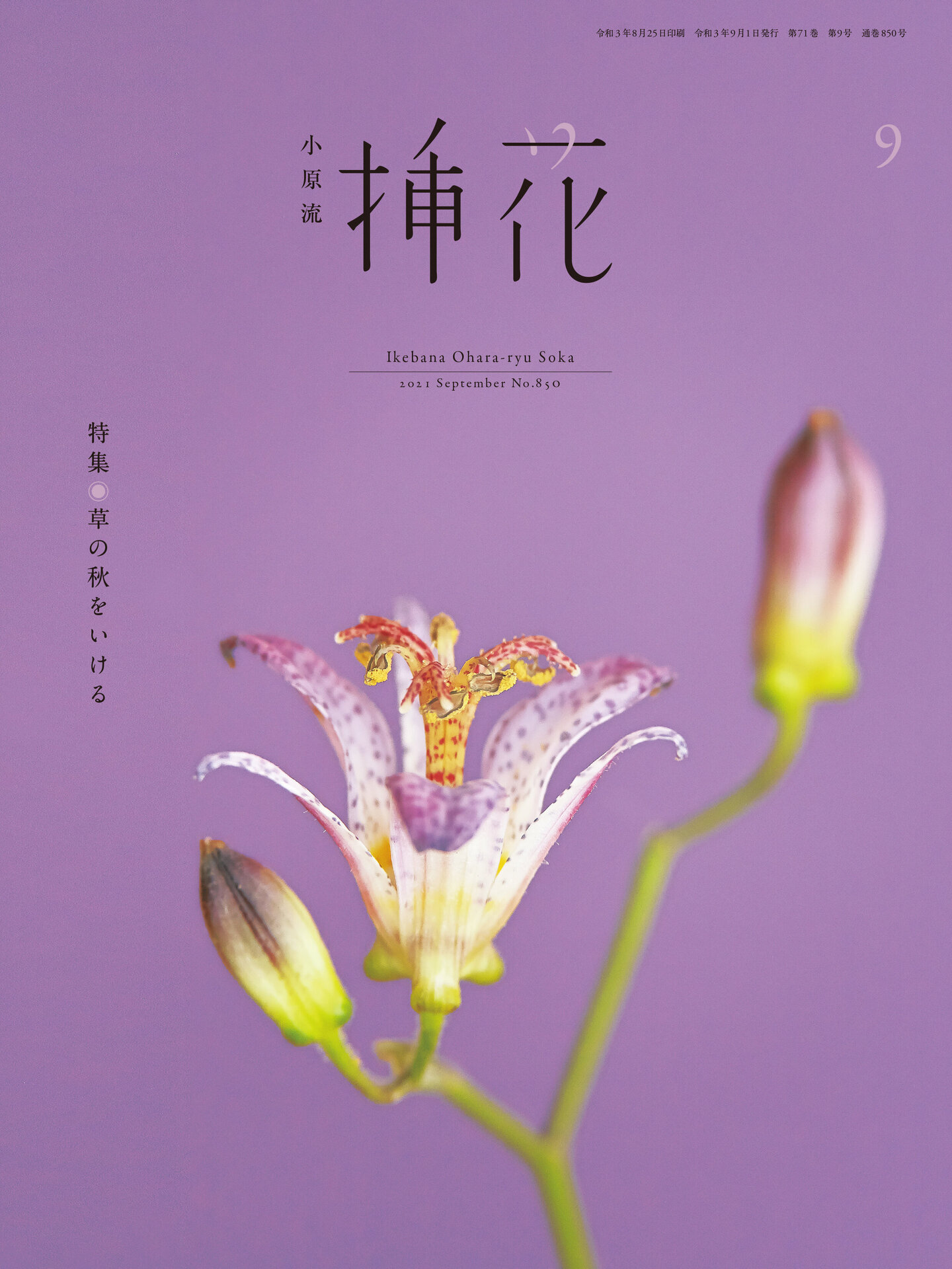 華道 生花関係書籍 残り7種類 生花 小原流 本 - 参考書