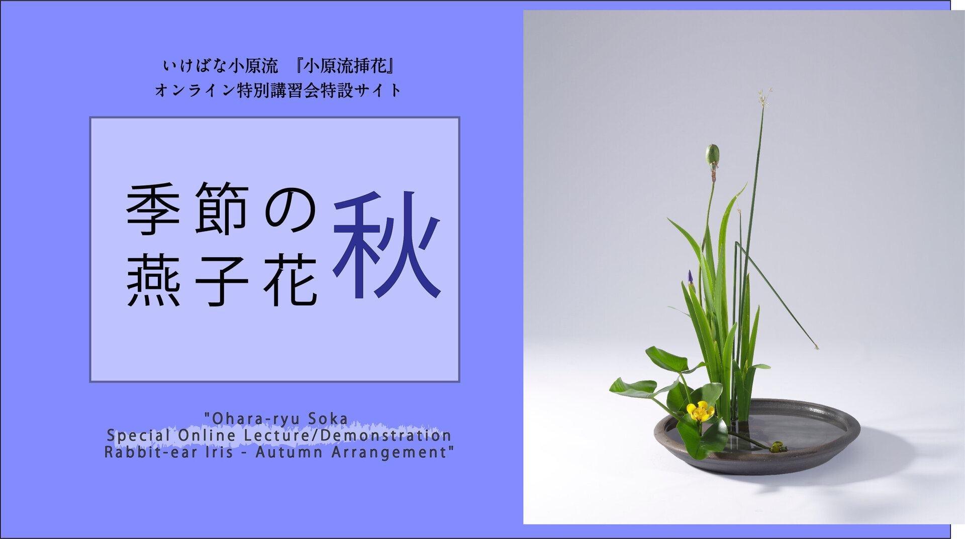 小原流挿花オンライン特別講習会「季節の燕子花 秋」再配信！８月１日～ | いけばな小原流