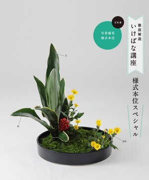 小原流挿花』年間購読のご案内 | いけばな小原流