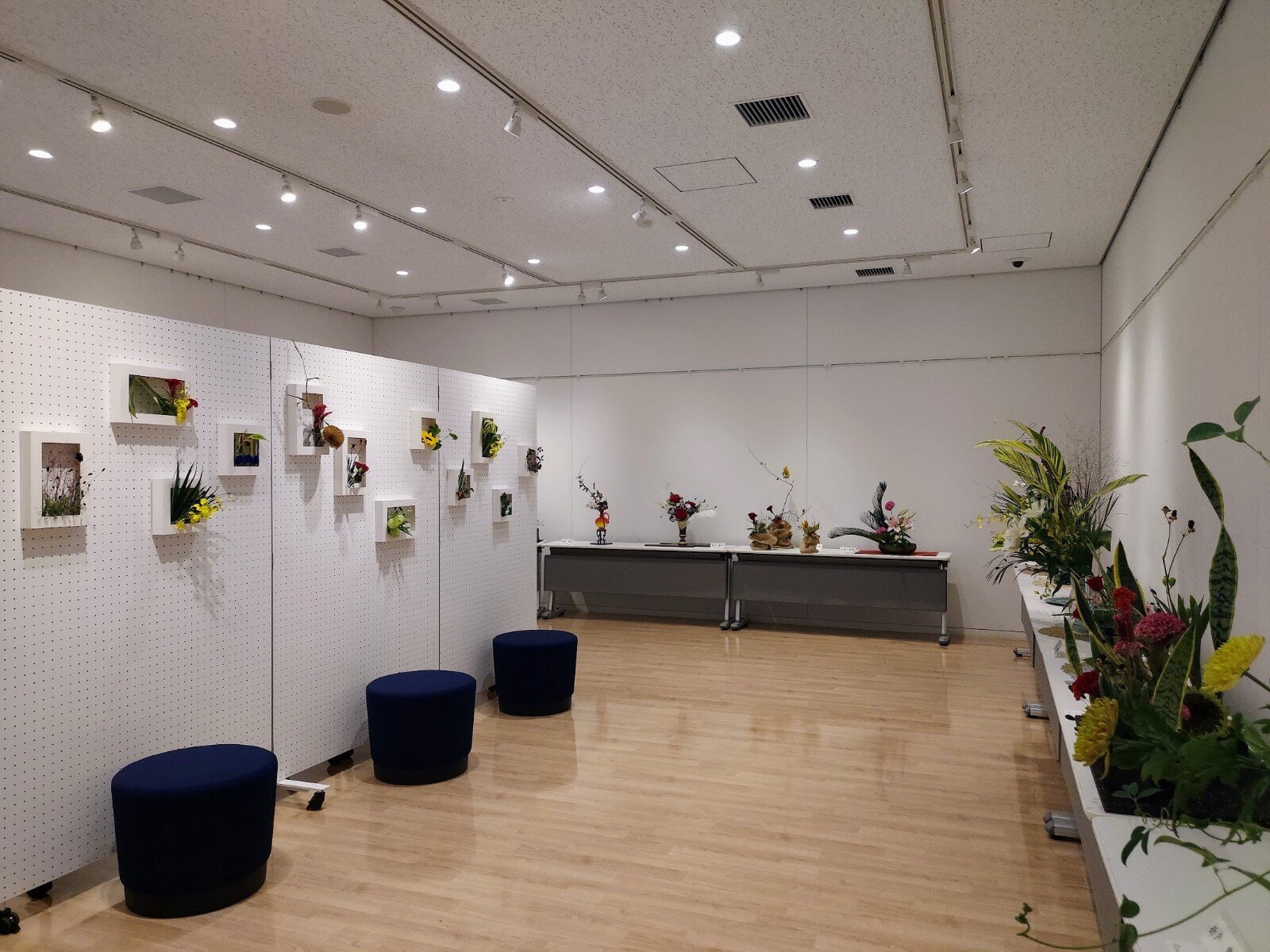 市川支部花展03.jpg