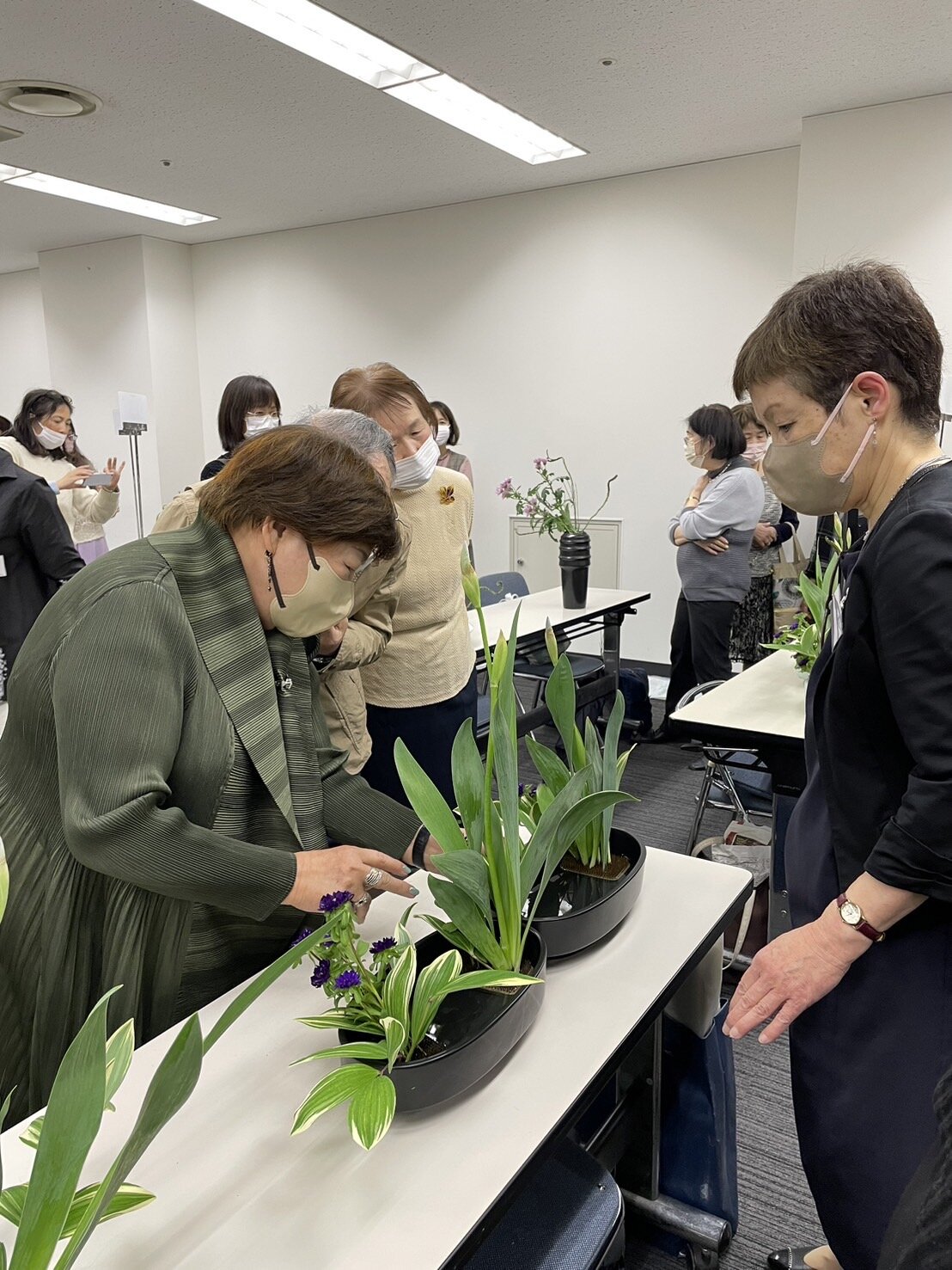 2024年いけばな花材を守るプロジェクト | いけばな小原流