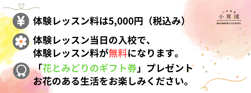 体験レッスン_2024.09.png